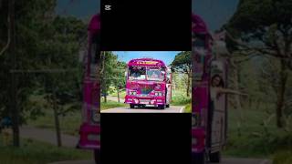 කොහොමද අපේ රැජින 😃😃 #trending #bus #1million #automobile #love #car