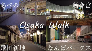 [Osaka Long Distance Walk]  Tennoji～Abeno～TobitaShinchi～Shinimamiya～Namba Parks～JR Namba