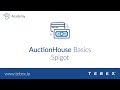 Tebex - AuctionHouse Basics