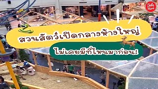 #เฮียร์พาเที่ยว สวนสัตว์เปิดในห้างที่เดียวในกรุงเทพ! เข้าชมฟรีนะ!  @seaconsquarechannel | #SaleHere