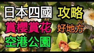 賞櫻賞花好地方 - さぬき空港公園 - 日本四國攻略(十七)