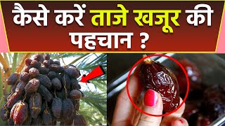 खजूर असली है या नकली कैसे करें पहचान | Dates Purity Test | Boldsky