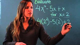 What Does Evaluating a Polynomial Mean?