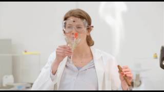 Total Recall: Conceive Please Batch 20131203 (Feb2016)| The Checkout
