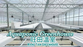 【旺田溫室#008】圓頂力霸塑膠型・水耕栽培温室 in台中 Taiwan’s Aquaponic Moving Nursery Benches \u0026 Greenhouse @wt-greenhouse