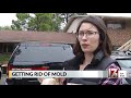 mold a primary concern in houses flooded by florence