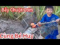 Một Ngày Đi Đặc Chuột Đồng ( Cơm) Cùng Bé Huy Và Cái Kết