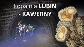 Kopalnia miedzi LUBIN / kawerny z barytem i markasytem