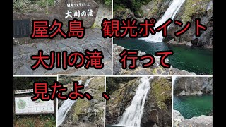 １分半で見る屋久島最大の滝　大川の滝！