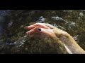 Thought Forms - Forget My Name