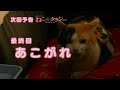 ドラマ『ねこタクシー』最終話予告