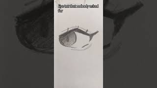 Eye tut that nobody asked for #fypviralシ #art #artdrawing #sketch #eyetutorial #youngartist