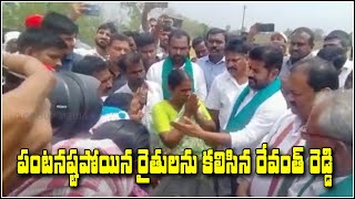 పంటనష్టపోయిన రైతులను కలిసిన  రేవంత్ రెడ్డి | Teenmarmallanna  | Qnews