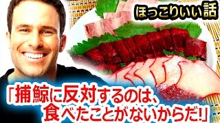 ニュージーランド人に「鯨を食べたことありますか？」って聞かれたんだが・・・