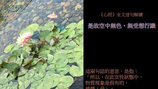 《心經》全文逐句解讀 10 是故空中無色，無受想行識