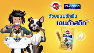 Dentastix : ฟันเราต้องแปรง ฟันเค้าต้องขัด 2020