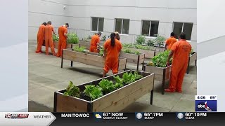 Brown County Sheriff’s Office highlights inmates tending to jail garden