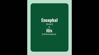 Terminology 101: Encephalitis | Merck Vet Manual #vetmedicine #petowner