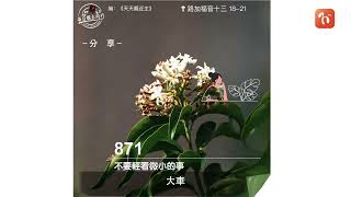 ​2023.12.06《每日與主同行 3.0》👣　主題：不要輕看微小的事