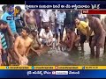 300 kg rare giant stingray fish caught in odisha s kandhamal river