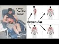 the CFB turns on BROWN FAT! -- proven by PET scans! the CFB turns on BROWN FAT! -- proven by PET scans!
