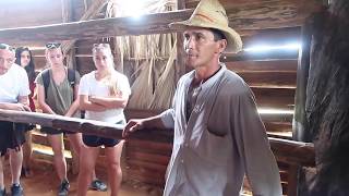 HOW TO GROW AND PROCESS TOBACCO IN VIÑALES