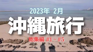 【大人の沖縄旅行 4泊5日】総集編  初めまして沖縄 ありがとう沖縄県 #okinawa #沖縄旅行 #那覇 #夫婦旅行 #沖縄そば #古宇利島