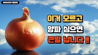 양파 심을때 몰라서는 안될 몇가지 사실