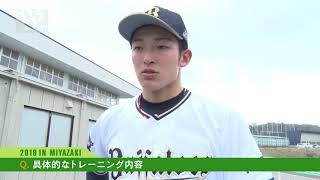 2019春季キャンプインタビュー 山崎颯一郎投手