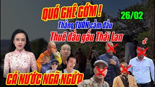 RỚT MẶT NẠ! Ba Thầy CÔNG KHAI Sự Thật ĐỘNG TRỜI Về SƯ BÁ Nhắn Thầy Minh Tuệ 1 Câu Gây Sốc