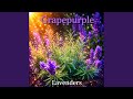 Grapepurple