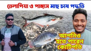 তেলাপিয়া ও পাঙ্গাস মাছ চাষ পদ্ধতি / Tilapia and Pangasius fish farming methods