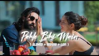 Pehle Bhi Main - Lofi Mix | Slowed + Reverb | Vishal Mishra | Animal | Bollywood Lofi Mix