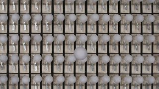 Mouse traps and ping pong balls to show powerful message: 'Social distancing works'