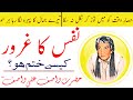 Nafs ka Gharoor Kaise Khatam Ho? || نفس کا غرور کیسے ختم ہو سکتا ہے؟ || Hz WASIF ALI WASIF r.a