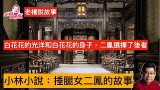 老楊說故事 小林小說《捶腿女的心机》二鳳是大戶人家專門給老太太捶腿躡腳的丫頭，圍繞她身上發生了許多跌宕起伏的人生故事，人與人之間充滿著算計，筆下諸多人物栩栩如生，故事扣人心弦