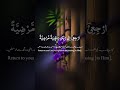 Al Quran Kareem | Beautiful Recite | Most Heart Touching Voice #foryou