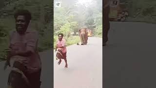 Elephant Running - By arun_kochu_ds (Ig)