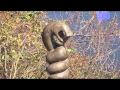 ZAMBEZI CROCODILE - AFRICAN SECRETS