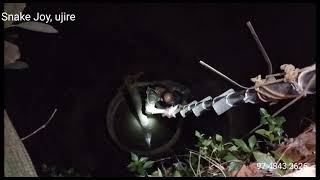 Cobra rescue in well | 20 ಅಡಿಯ ಬಾವಿಯೊಳಗೆ ಬಿದ್ದಿದ್ದ ನಾಗರಹಾವಿನ ರಕ್ಷಣೆ |