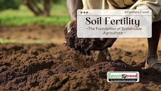 Soil Fertility: The Foundation of Sustainable Agriculture