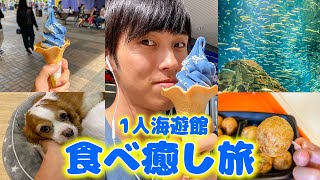 1人海遊館で第満喫の素晴らしい休日を過ごす26歳【大阪】