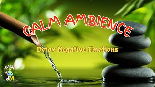 Negative Energy Cleansing Music For Healing Relaxation & Abundance