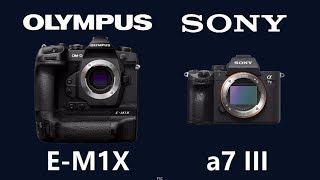 Olympus OM-D E-M1X vs Sony Alpha a7 III