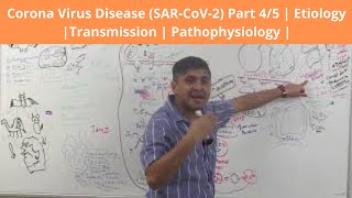 Corona Virus Disease (SAR-CoV-2) Part 4/5 | Etiology |Transmission | Pathophysiology