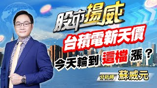 中視【股市揚威】20240620 #蘇威元：台積電新天價  今天輪到這檔漲？#中視 #中視新聞 #蘇威元 #股市揚威 #摩爾證券投資顧問