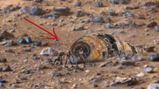 NASA Mars Perseverance Rover Reveals Latest Breathtaking Video Footage of Mars Surface Sol 1387