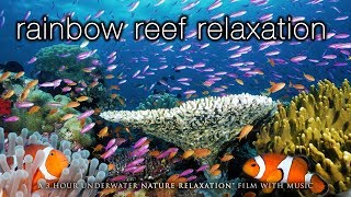 3 HOURS of Amazing Colorful Reef Sea Life  in HD 1080p (No Music) Tahiti, Raratonga, Indonesia