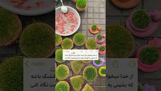 امیدوارم نوروزی که پیش رو داری آغاز روزهایی باشد که آرزو داری نوروزت مبارك😍♥️♥️#سال#عید