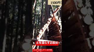 真相は本編で！https://youtu.be/vX4zhLslGps #shorts #bushcraft #diy #ログハウス #youtube #山小屋